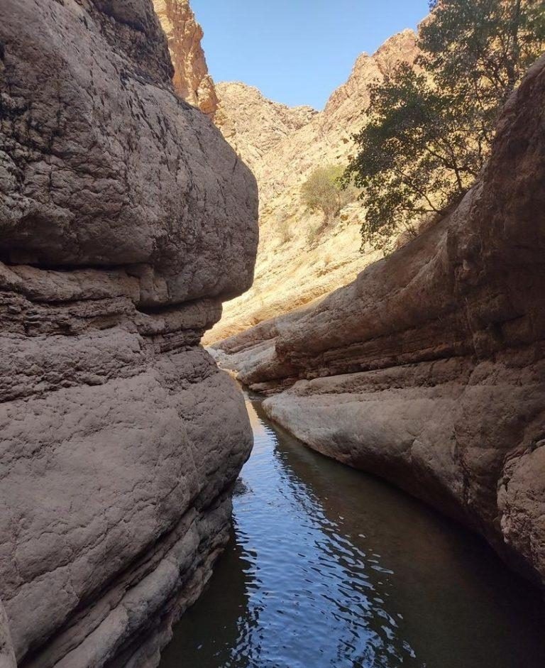 دره و طبیعت کاویان